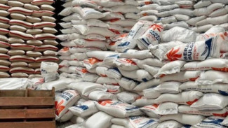 Beras di Bandung Stabil, Pemkot: Belanja Secukupnya