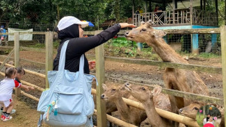 Photo Mini 2