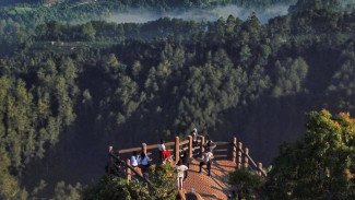 Bandung Gak Cuma Lembang, Ini Wisata Sejuk di Hutan Pinus Tahura
