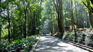 Healing Murah Meriah di Bandung, Coba Main ke Tahura Dijamin Nagih