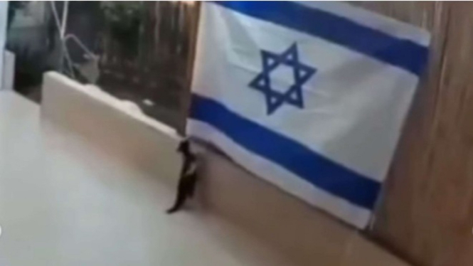 Kucing Hitam copot bendera Israel