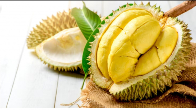 Ilustrasi buah Durian