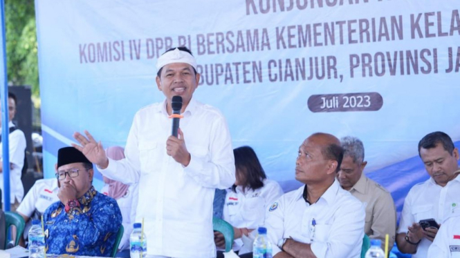 Dedi Mulyadi