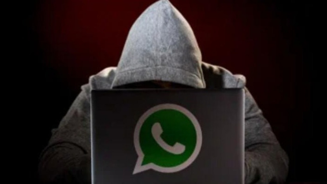 Ilustrasi Aplikasi Sosmed, WhatsApp Dihacker