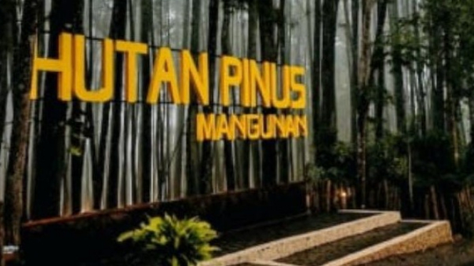 Ilustrasi Ekowisata, Hutan Pinus Mangunan