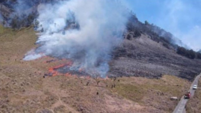 Destinasi Wisata, Kebakaran Padang Savana-Gunung Bromo