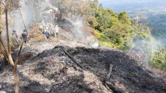 BPBD Jabar Memadamkan Kebakaran Hutan (TN Gn Salak Sukabumi)