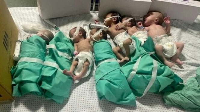 Bayi prematur di Gaza, Palestina.
