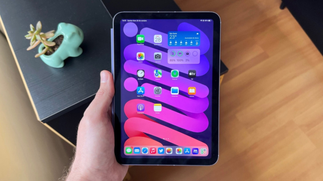 iPad Mini