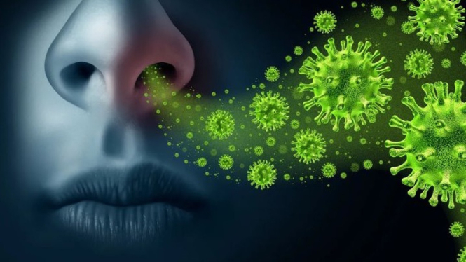 Ilustrasi Virus Influenza