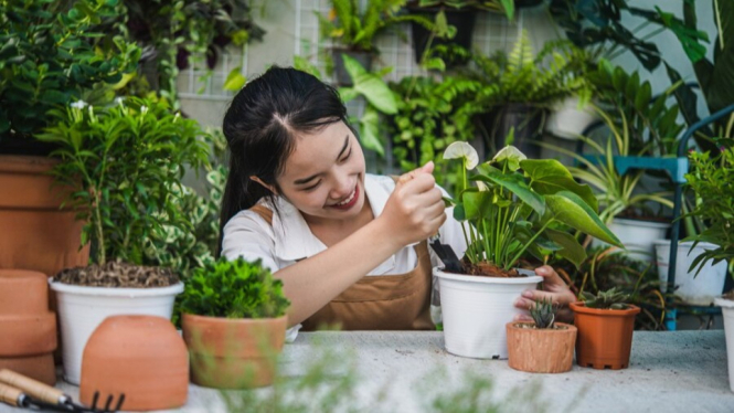 ilustrasi berkebun