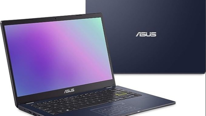 ASUS Vivobook Go 14