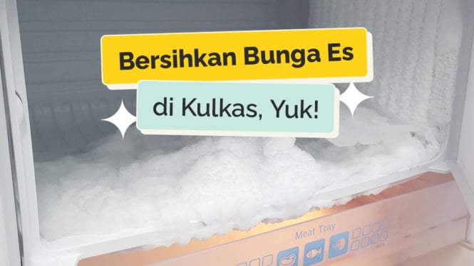 Bunga es kulkas