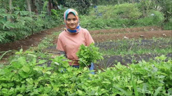 Perintis Urban Farming, Vania Febriyantie