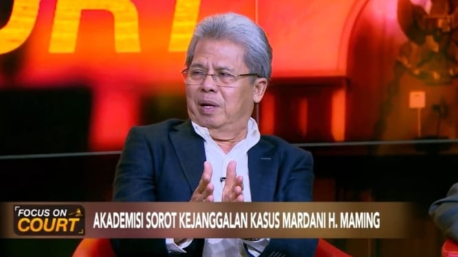 Prof. Todung Mulya Lubis, Pakar Hukum