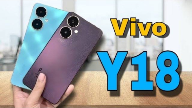 Vivo Y18t