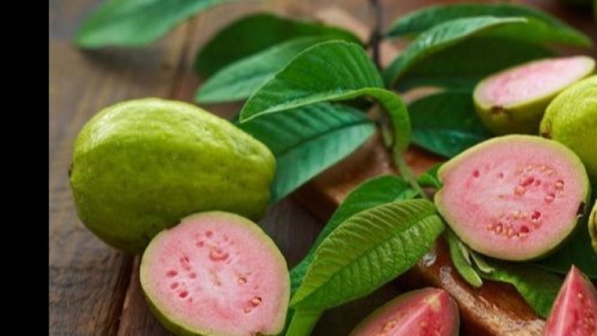 Jambu biji