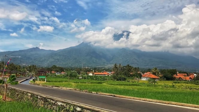 Sawah Lope