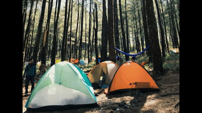 Ilustrasi Cidahu Camping Ground