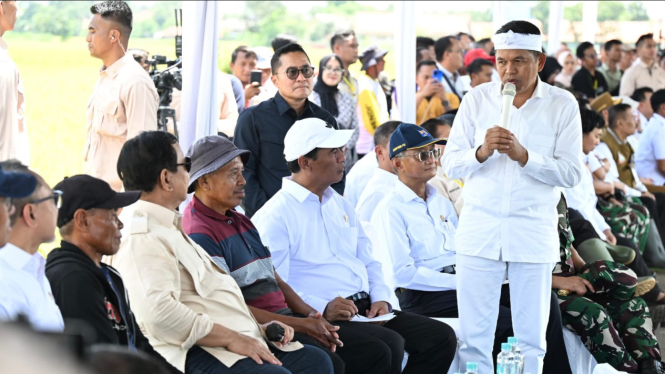 Dedi Mulyadi