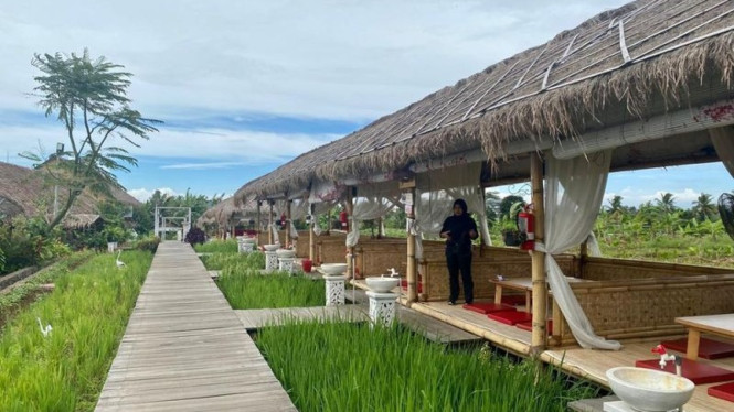 Kafe Sawah di Bogor