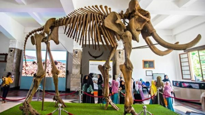 Museum Geologi Bandung