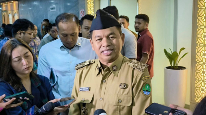 Dedi Mulyadi