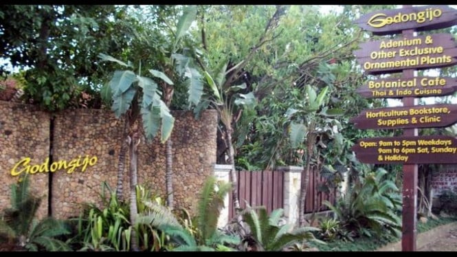 Wisata Godong Ijo