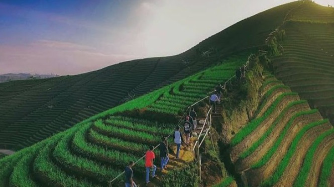 Terasering Panyaweuyan