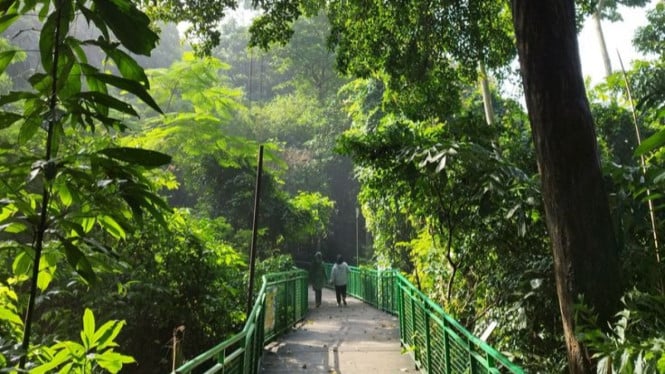 Hutan Menyala Tahura