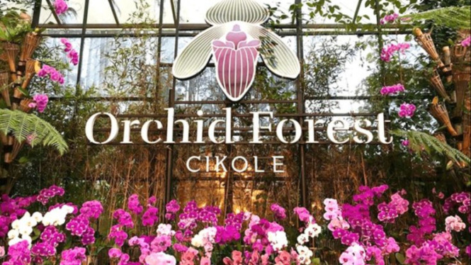 Orchid Forest Cikole