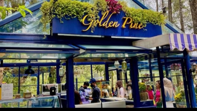 Golden Pine Bandung