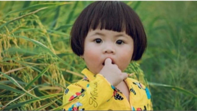 Anak Balita