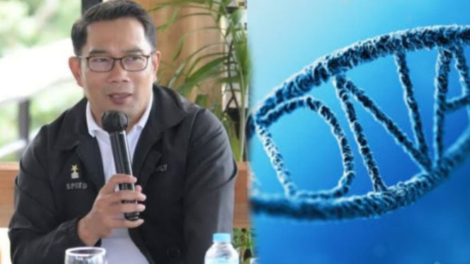 Ridwan Kamil