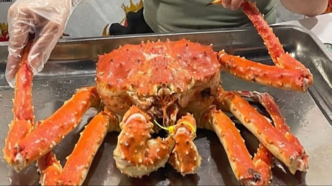 Kepiting Bagan Situngkuraja