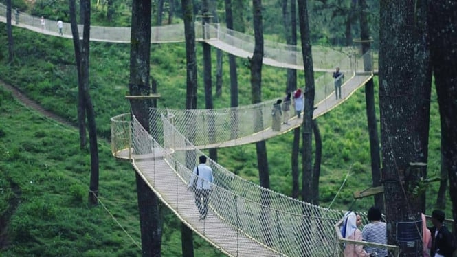 Orchid Forest Cikole