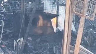 Api Kecil Masih Ada di Lokasi Kebakaran Pasar Taman Puring