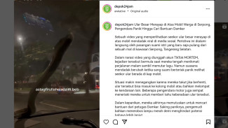 Momen Mengerikan saat Ular Besar Muncul di Kap Mobil yang Dikemudikan Pasutri Ini