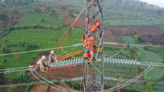 PLN Berhasil Tembus Fortune Global 500, Ditopang Peningkatan Pendapatan