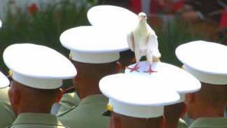 Momen Merpati Bertengger di Topi Pasukan saat Upacara HUT ke-80 RI di Istana Merdeka