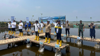 Hijaukan Pesisir, 215 Ribu Bibit Mangrove Ditanam di 9 Lokasi Pesisir Indonesia