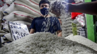 Stok Beras Nasional Pecah Rekor Tembus 4,2 Juta Ton, Harga di Pasar Mulai Turun dan Stabil