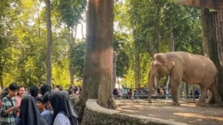Ragunan Jadi Favorit Warga Jabodetabek, Kendaraan Motor Mendominasi Area Wisata