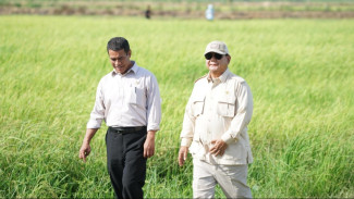Ada 71,5 Persen Publik Puas dengan Kinerja Kementan, Survei Litbang Kompas