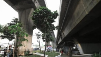 Jakarta Segera Punya Wajah Baru, 300 Kolong Tol Bakal Disulap Jadi Taman Cantik untuk Warga