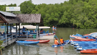Geliat PLN IP Bangkitkan Ekonomi Rakyat dari Ekowisata Mangrove