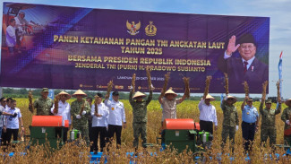 Panen Raya Kedelai Garuda Merah Putih, Sinergi TNI AL dan PT KUAB Catat Produktivitas Tertinggi Nasional