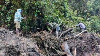 Banjir Bandang dan Longsor di Nduga Tewas Belasan Orang, DPR Soroti Lemahnya Mitigasi Bencana