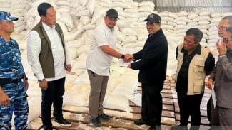 Kebutuhan Pangan di Aceh, Sumut dan Sumbar, Mentan Amran: Kami Suplai 3 Kali Lipat