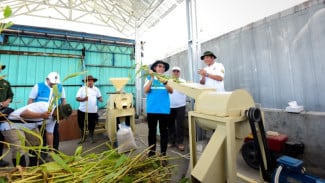 Kurangi Emisi dan Ciptakan Peluang Ekonomi, PLN IP Gencarkan Sorgum untuk Bahan Baku Biomassa Pembangkit